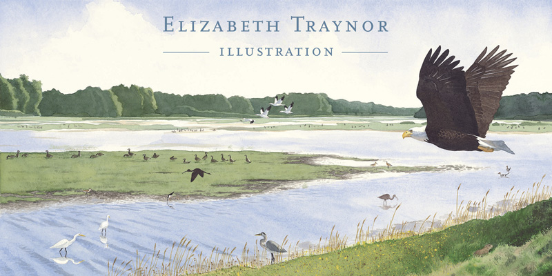 Elizabeth Traynor Illustration - Watercolor Illustration, Refuge